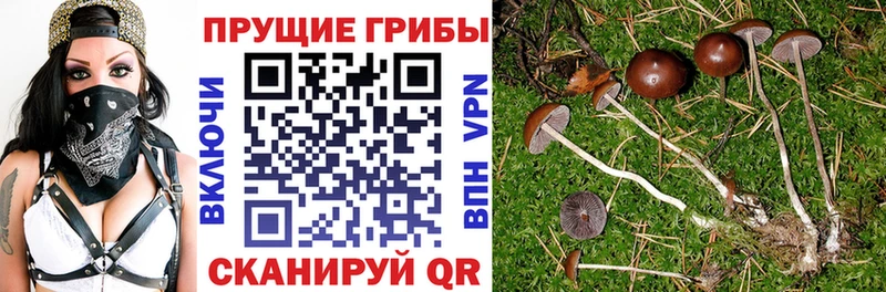 закладка  hydra ССЫЛКА  Галлюциногенные грибы Magic Shrooms  Ильский 