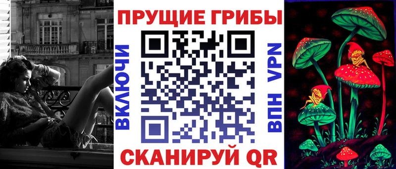 Галлюциногенные грибы Psilocybe Ильский